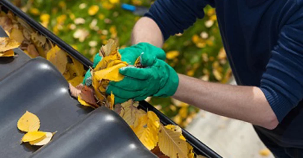 Cleaning Leaves Out Of Gutter