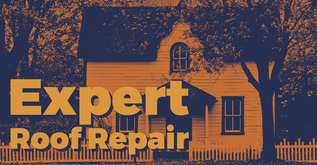 Expert Roof repair
