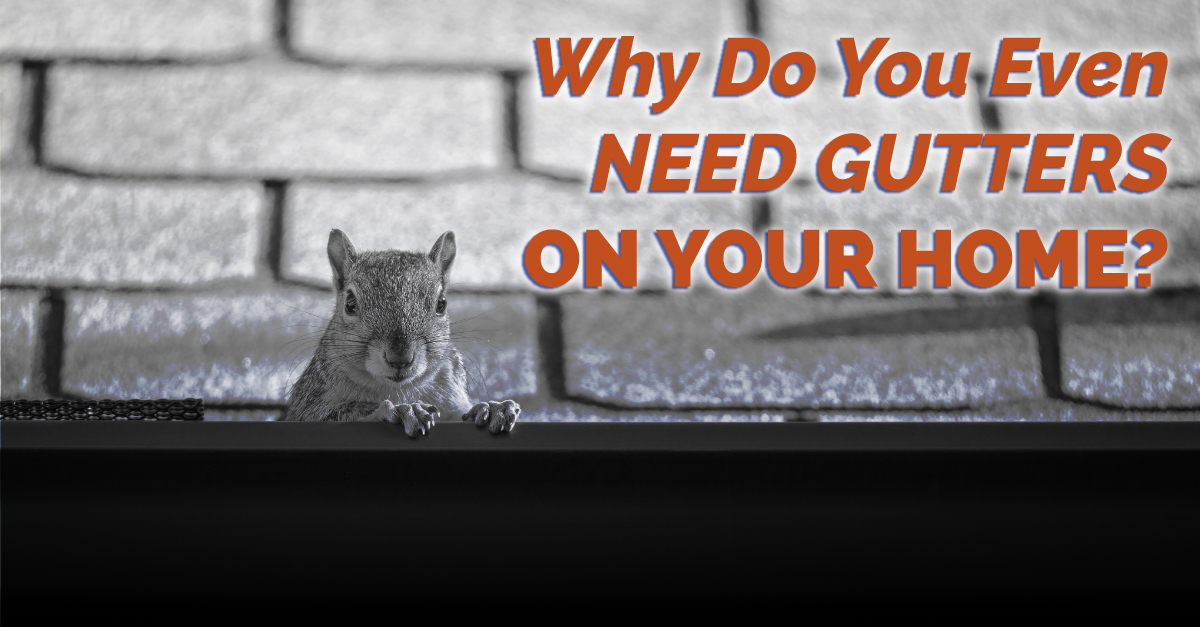 Graphic of squirrel sitting in a gutter with the caption, "Why Do You Even Need Gutters On Your Home?"