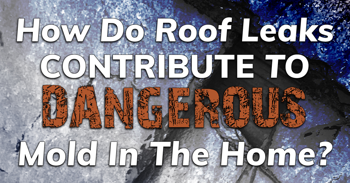 How Do Roof Leaks Contribute To Dangerous Mold In The Home?