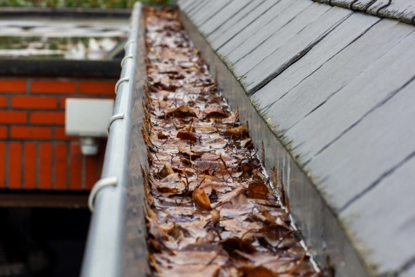 Debris-filled gutter along a slate roof before cleaning and maintenance