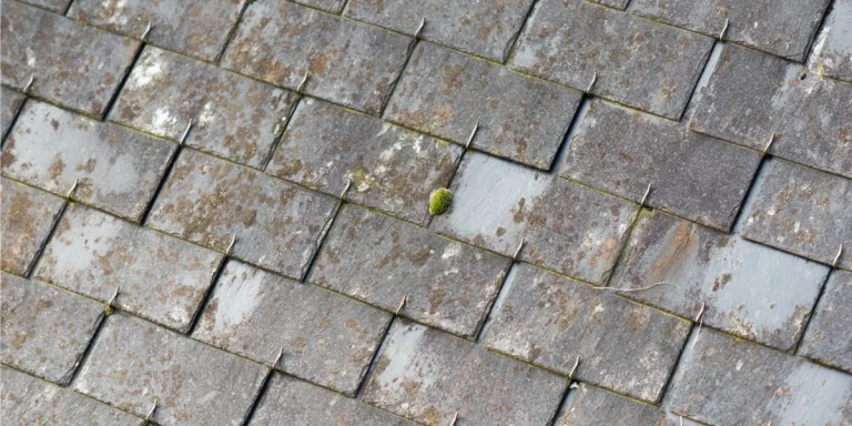 Moss and weathering buildup on a slate roof in need of maintenance