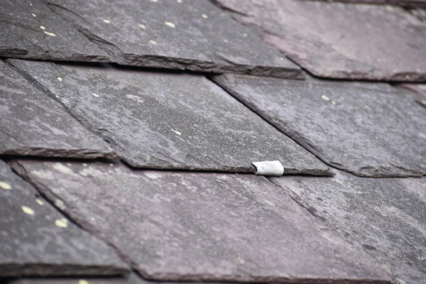 A slipped slate tile showing exposed clip during a roof inspection